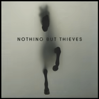 partial view of a horse on Nothing but Thieves album cover